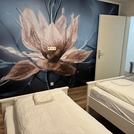 Amedy * Lübeck